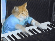 The real Keyboard Cat, Fatso, playing in Charlie Schmidt’s original footage